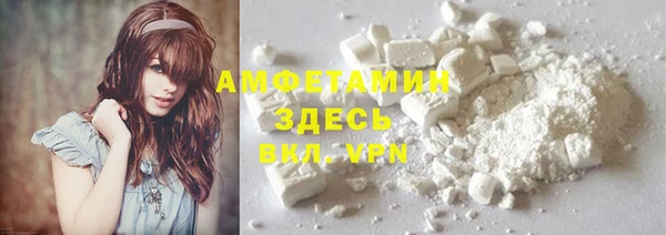прущие грибы Белокуриха