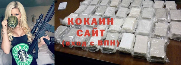 прущие грибы Белокуриха